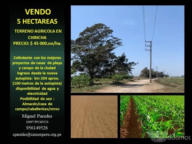 VENDO 5 HA. TERRENO AGRICOLA (ZONA DE CONDOMINIOS DE CASA DE PLAYA Y CAMPO) - 1