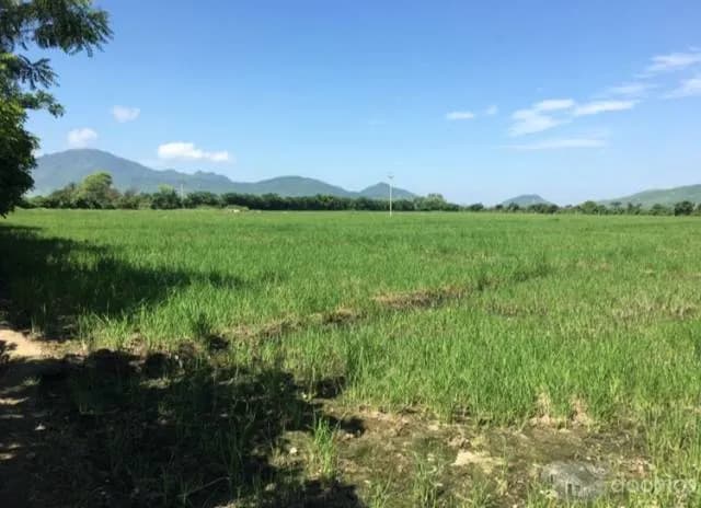 VENTA DE TERRENO - 1