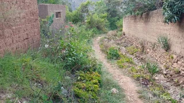 VENDO TERRENO DE 400 M2 EN SANTA MARIA DEL VALLE. IDEAL PARA CASA DE CAMPO - 2