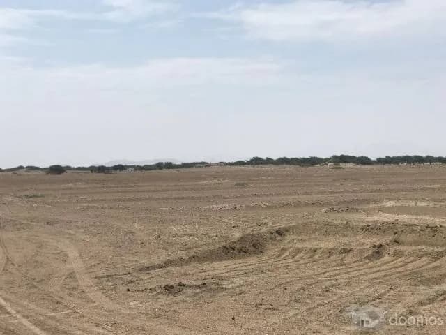 Remato Terreno de 100 Hectáreas agrícolas en Chiclayo - 1