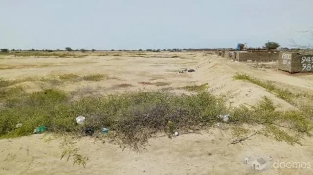 VENTA TERRENO AGRICOLA LAMBAYEQUE EN LA ZONA DE EXPANSION URBANA - 1