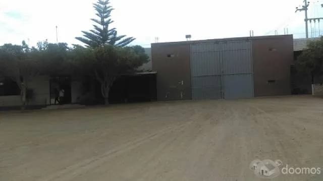 LOCAL INDUSTRIAL ACTIVIDAD PRINCIPAL PILADO DE ARROZ (MOLINO) - 1