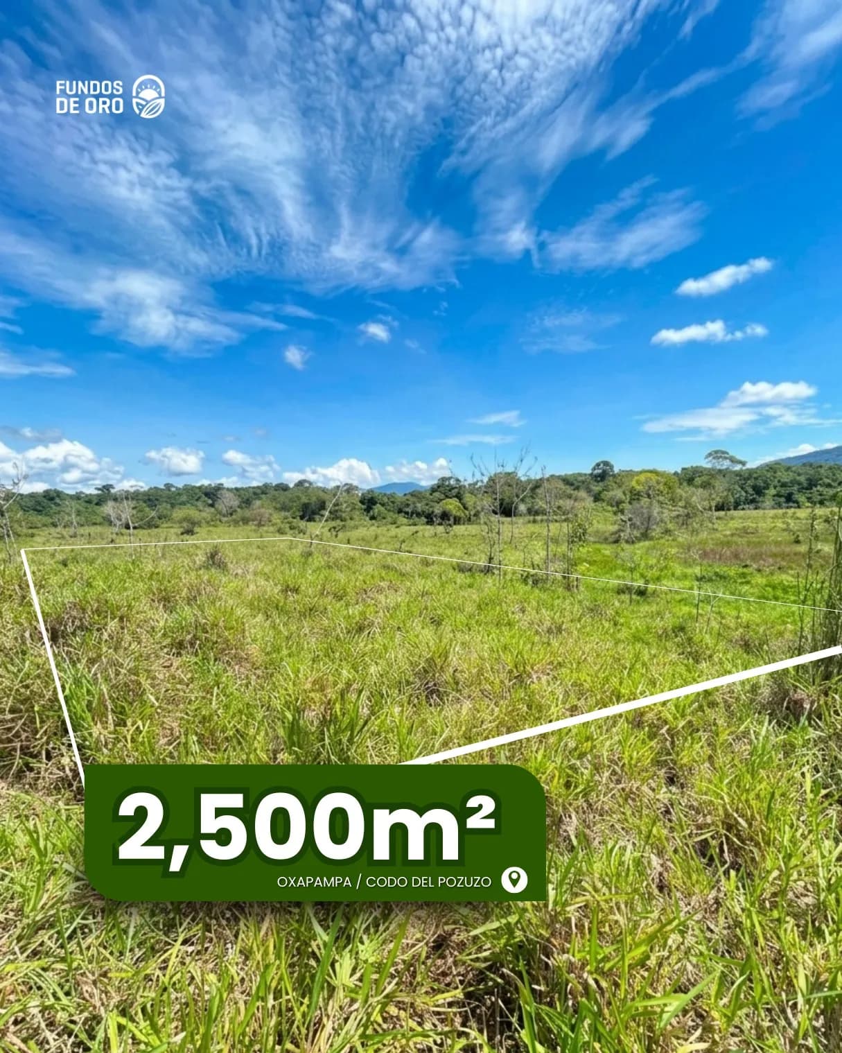 Hectareas en Oxapampa - 1