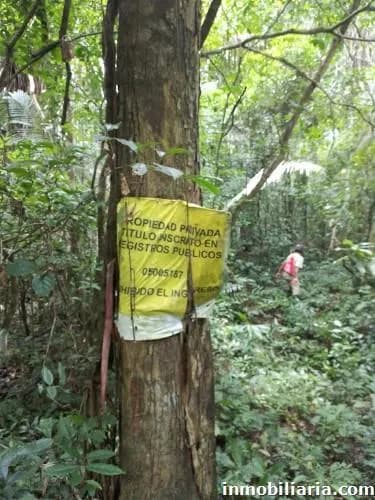 venta de terreno corredor turístico tambopata puerto maldonado - 1