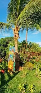 Remató Finca de 69 hectáreas inscrita en RRPP - 1