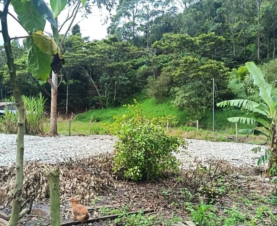 Se Vende Terreno en Oxapampa 620 m2 a 10 minutos de la plaza principal - 1