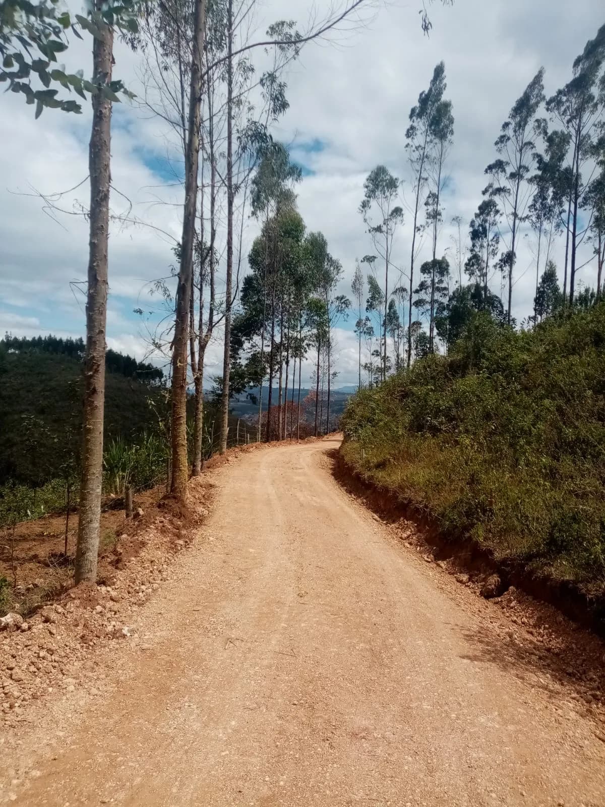 E VENDE TERRENO 4,280 m² (4 lotes juntos) - SANTA ISABEL PARTE ALTA, CHACHAPOYAS. (Ciudad Turística). - 1