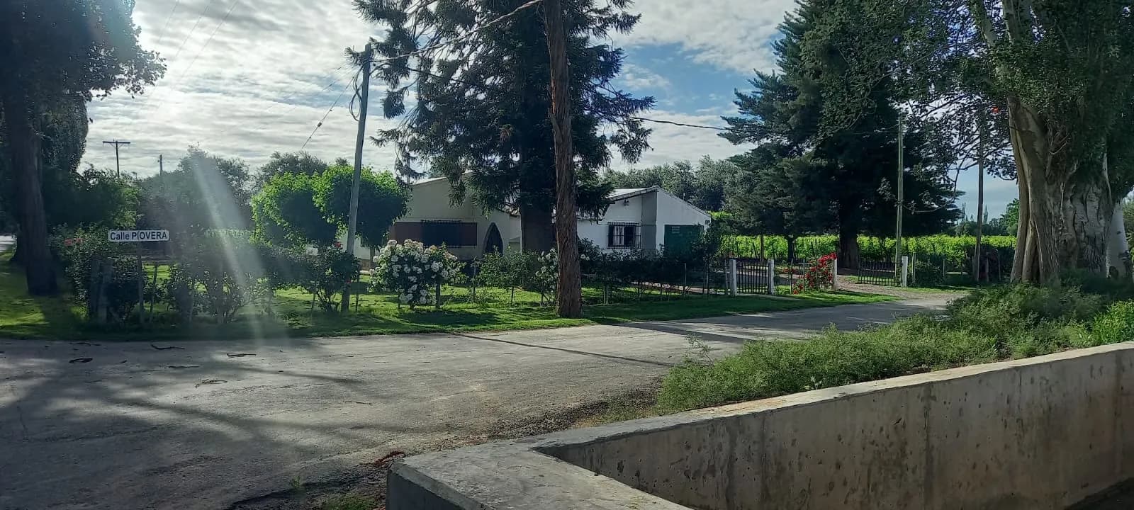FINCA VIÑEDOS MENDOZA ARGENTINA - 1