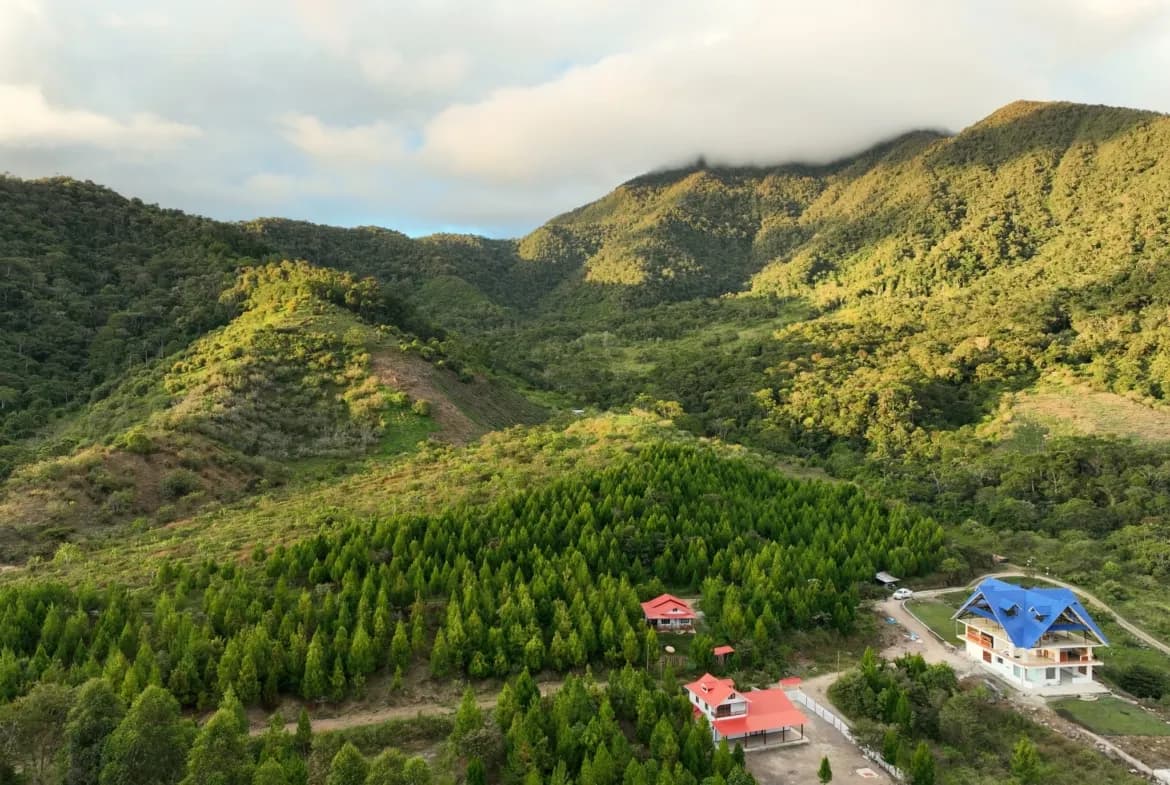 Se Vende Terreno de 315 m2 en el Paraíso Natural de Oxapampa rodeado de naturaleza - 1