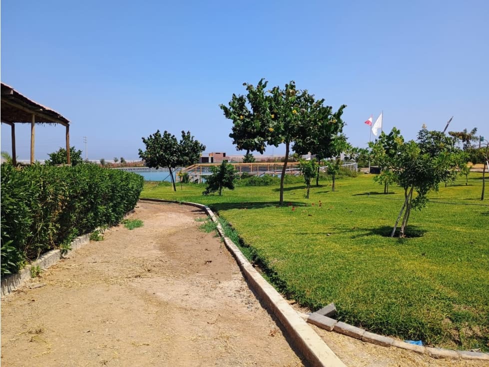 Asia del Campo Vendo Terreno Puerta del Sol - 1