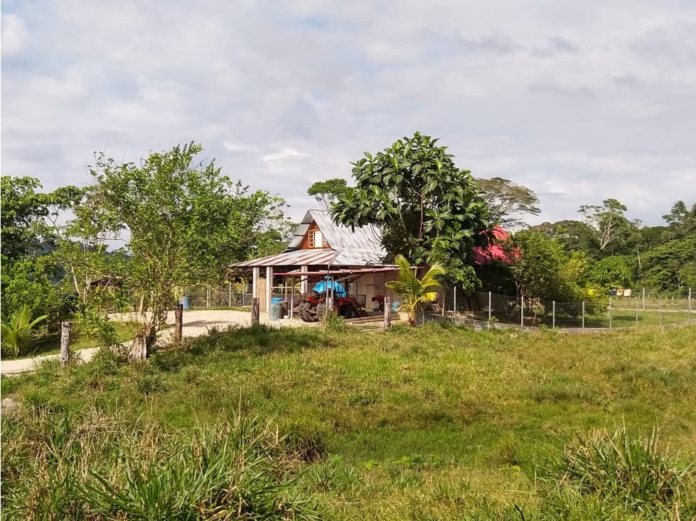 I021074 VENTA FUNDO 1035 has - CODO DE POZUZO - 2