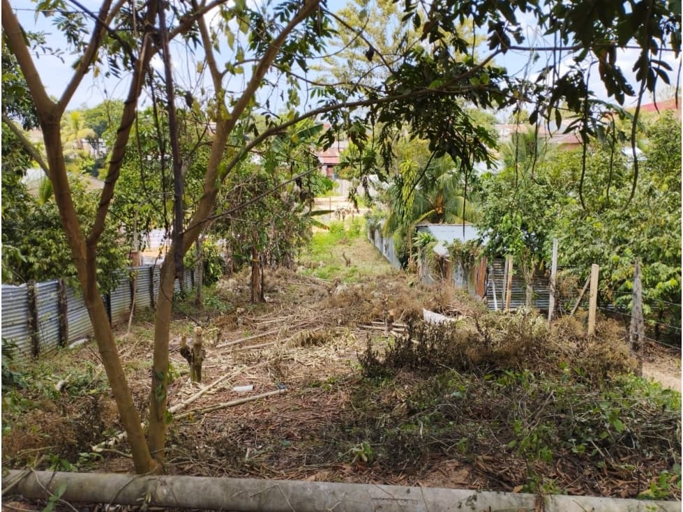 SE VENDE LOTE DE TERRENO EN YURIMAGUAS, LORETO - 1