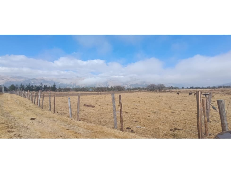 VENDO TERRENO 13,500 M2 PAMPA DE ANTA CUSCO PERU - 1