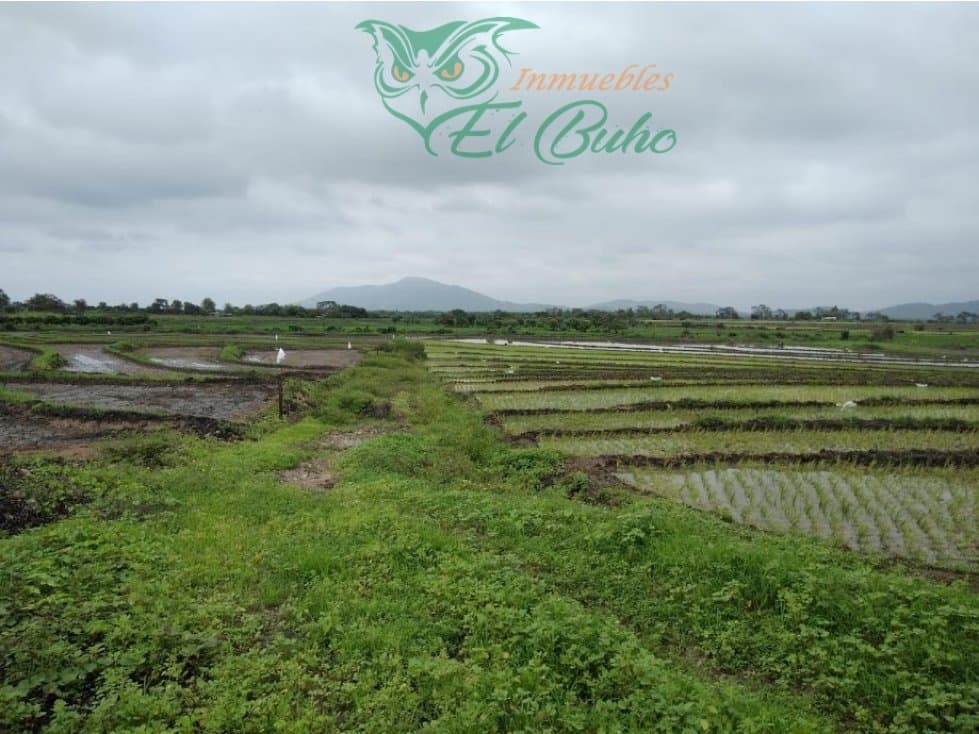 VENDO PARCELA VALLE SAN LORENZO, PIURA - 2