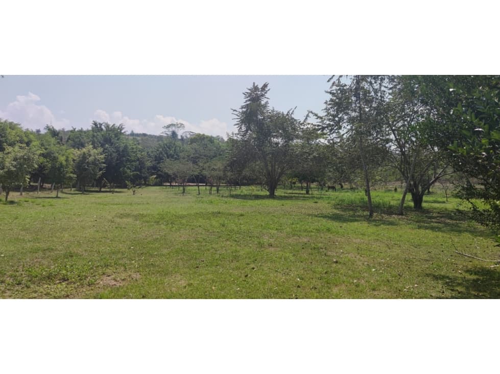 Terreno Tarapoto - 3 de Octubre - 10,000 m2 - US$45 x m2 - 1