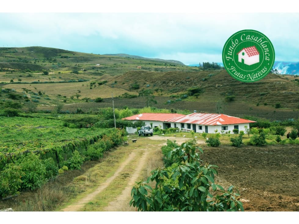 VENTA DE TERRENO EN PACHACAMAC - 1