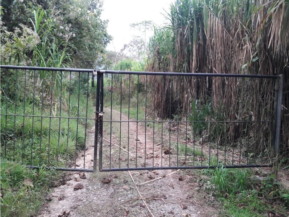 VENDO FUNDO DE 245 HA. EN LA MERCED - CHANCHAMAYO - 2