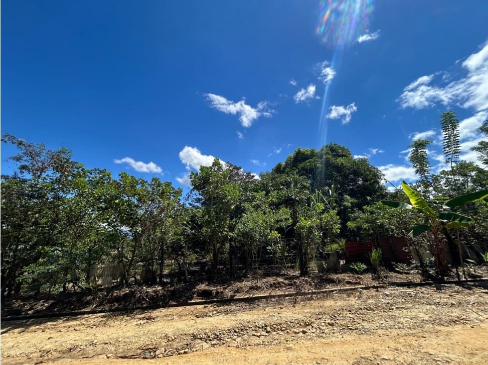 Terreno de 2,600 m² de naturaleza y tranquilidad - 1