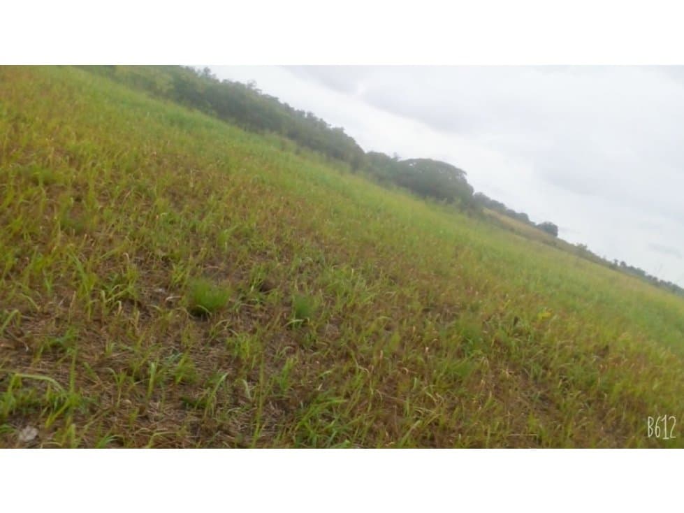 Lotes de Terreno en Venta - Pucallpa - 2