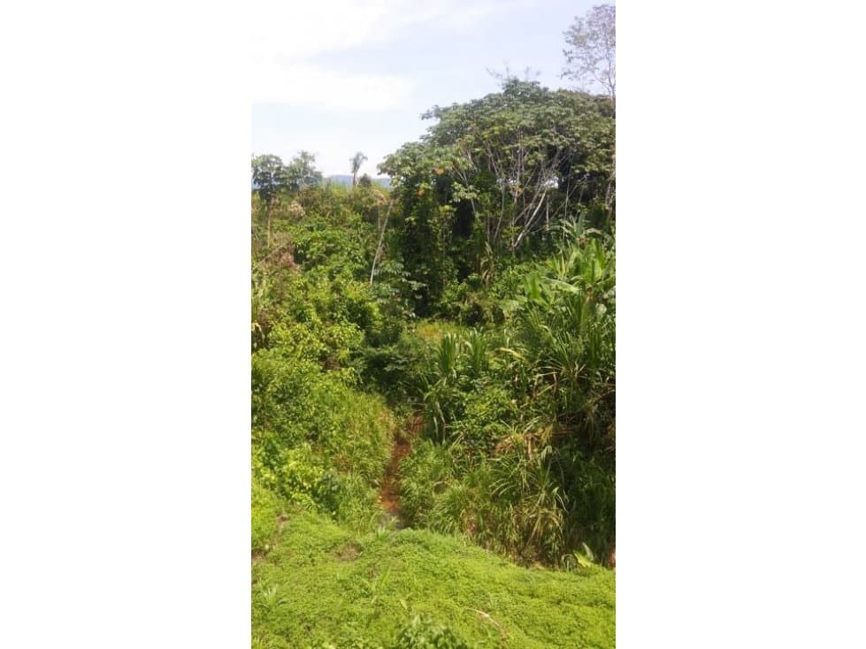 Fundo en Venta - Ucayali - Atalaya - 1