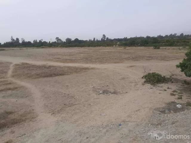 Terreno Rústico Don Eduardo - 2