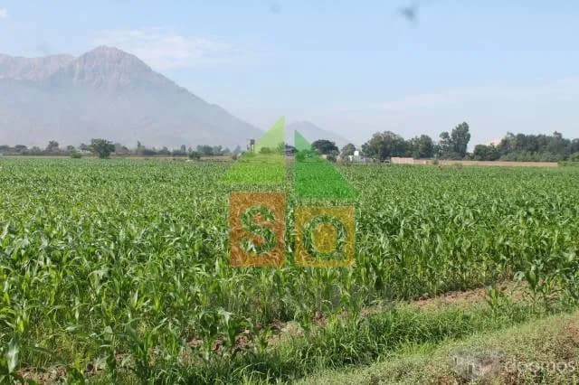 Terreno ideal para Proyecto en Valle de Laredo - 2