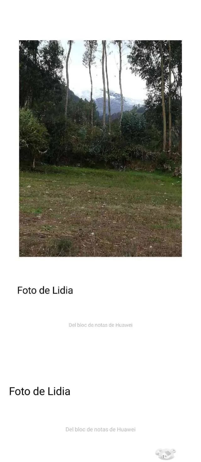 TERRENO AGRICOLA - 2