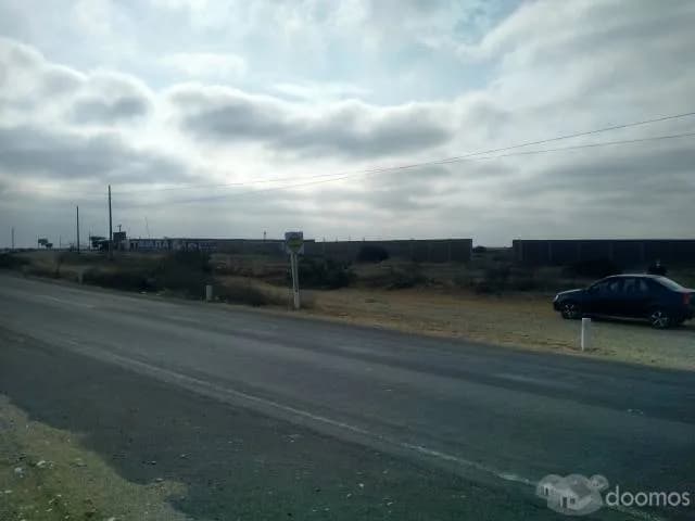 Se vende 2.0 hectáreas de terreno Colán - 2