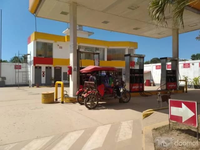 ALQUILER GRIFO (EE. SS.) - 2