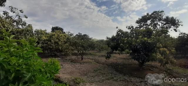 VENTA DE TERRENO IDEAL PARA CASA DE CAMPO - 1