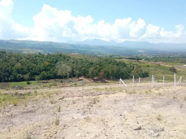 Terrenos en Tarapoto - Lotes en Región San Martín - Proyecto Villa Paraiso - 2