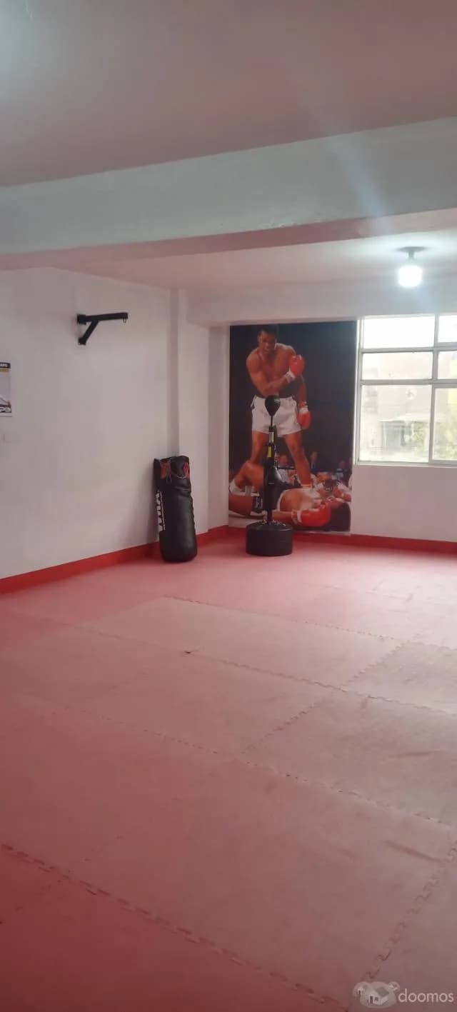 Local Comercial y/o Departamento. - 1