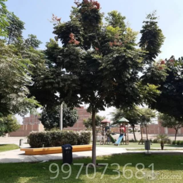 Venta de Terreno Residencial en Carabayllo - Vista a Parque - 1