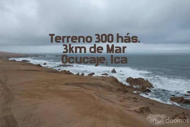 Terreno 300 Hás. Con 3 Km De Mar En Ica. Precio De Ocasión - 1