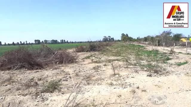 Vendo 15 has. En Santa Lucía, Independencia Pisco. - 1