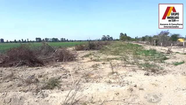 Vendo 15 has. En Santa Lucía, Independencia Pisco. - 2