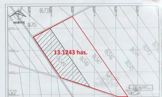 VENTA DE TERRENO 13.68 HA. EN SAN CLEMENTE- PISCO, CHINCHA - 1