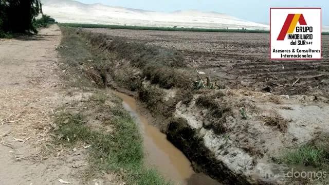 VENTA DE TERRENO 13.68 HA. EN SAN CLEMENTE- PISCO, CHINCHA - 2