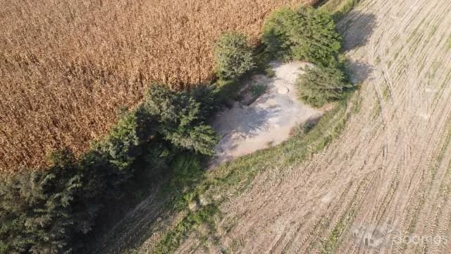 SE VENDE TERRENO AGRICOLA DE 7.8 HECTAREAS EL CARMEN - CHINCHA - 1