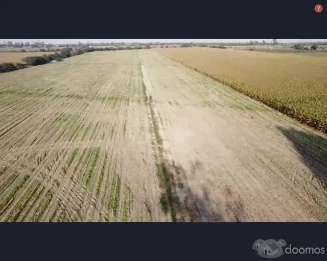 SE VENDE TERRENO AGRICOLA DE 7.8 HECTAREAS EL CARMEN - CHINCHA - 2