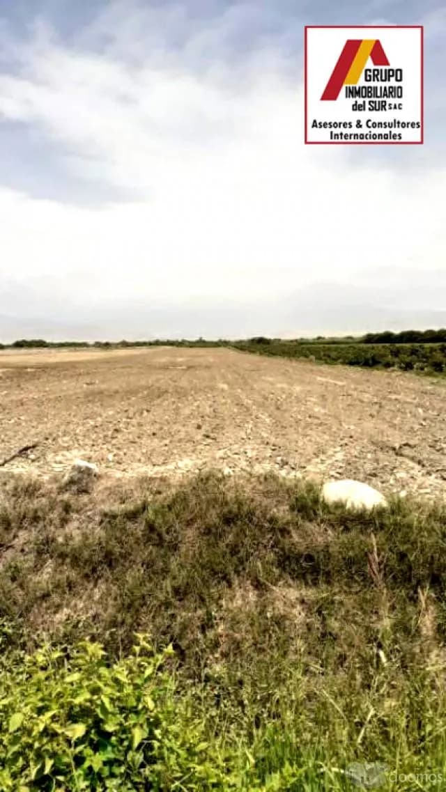 VENTA DE TERRENO RURAL 6 Has. HACIENDA SAN JOSÉ. EL CARMEN / (CHINCHA) - 1