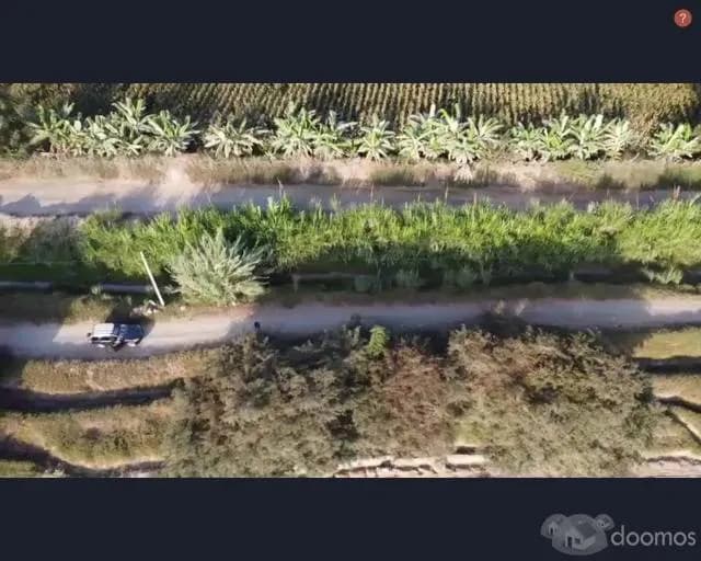 SE VENDE TERRENO AGRICOLA DE 4.75 HECTAREAS EL CARMEN - CHINCHA - 1