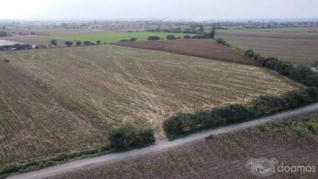 SE VENDE TERRENO DE 4.5 HECTAREAS - SANTA BEATRIZ , PISCO - 2
