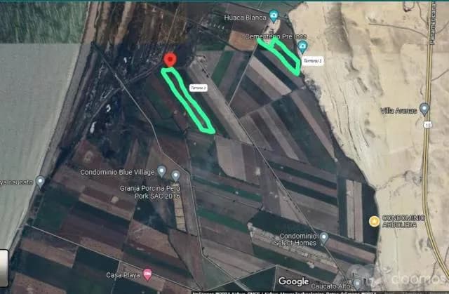 Terreno agricola en Pisco 8 hectárea aprox - 2