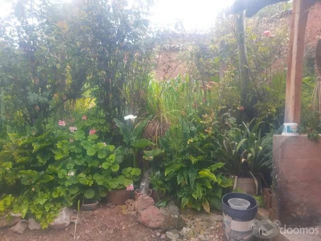 Venta Casa 2 pisos Distrito Llamellin, Provincia Antonio Raymondi, Departamento Ancash - 1