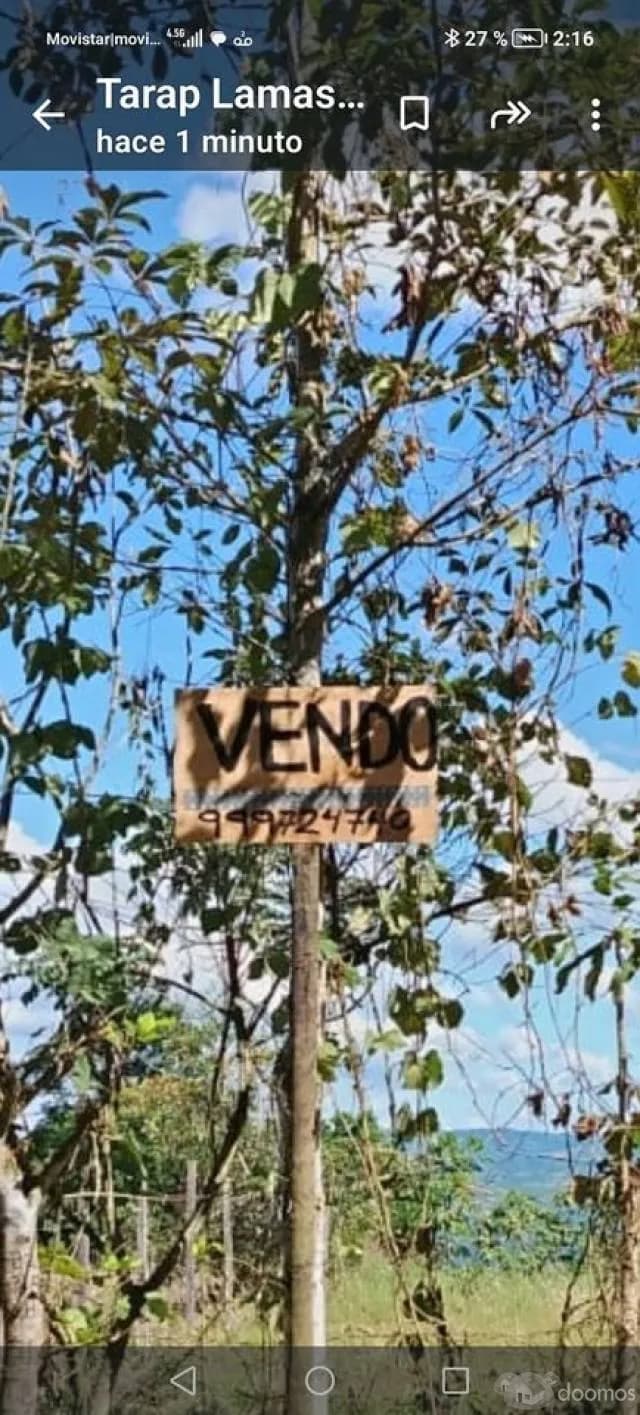 VENDO TERRENO EN LAMAS 1470MTS EN ESQUINA - 2