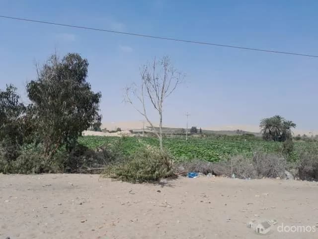 SE VENDE 16 HECTAREAS EN 3 PARTIDAS REGISTRALES - PARACAS, PISCO - 1