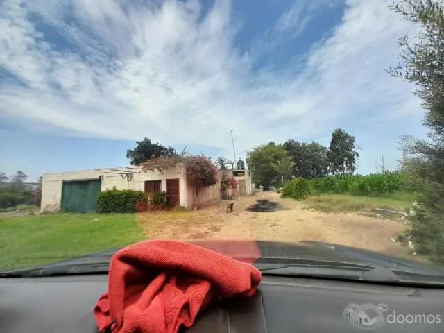 SE VENDE 16 HECTAREAS EN 3 PARTIDAS REGISTRALES - PARACAS, PISCO - 2