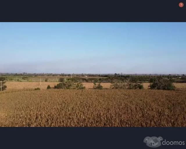 SE VENDE TERRENO AGRICOLA DE 14 HECTAREAS - SECTOR MONTALVAN (TINEO) , PISCO - 1