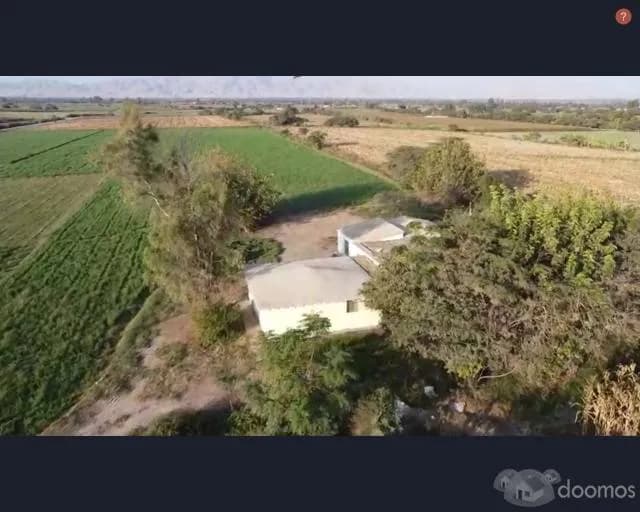 SE VENDE TERRENO AGRICOLA DE 14 HECTAREAS - SECTOR MONTALVAN (TINEO) , PISCO - 2